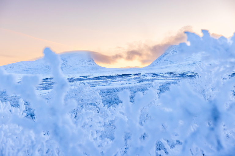 Abisko: Private Guided Hike in Abisko National Park