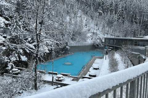 Calgary: excursión de un día a Radium Hot Springs y Marble Canyon