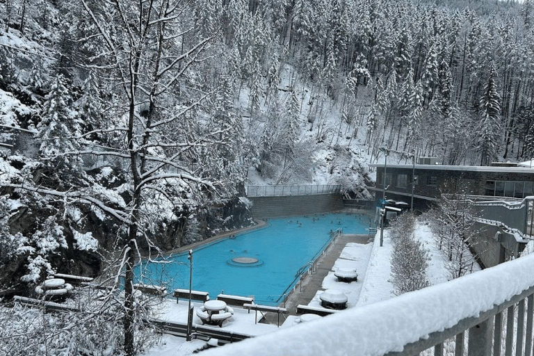 Calgary: excursión de un día a Radium Hot Springs y Marble Canyon