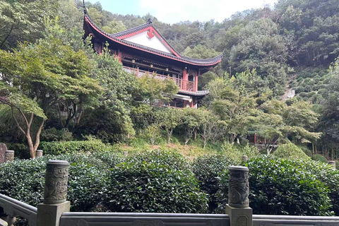 Hangzhou: Private Car Tour to Temple, Tea Village & Canal
