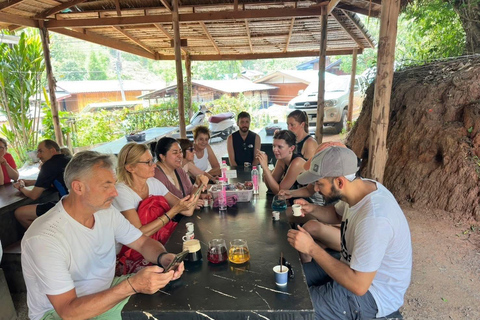 Chiang Mai: Doi Inthanon Pha Dok Siew Trek & Karen Culture