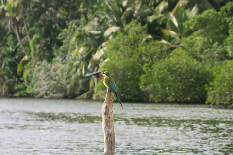 Colombo: 3 Lakes, Wetland, Park, & Lotus Tower Sunset Tour