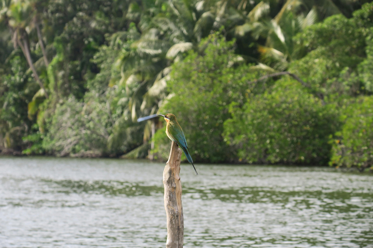 Colombo: 3 Lakes, Wetland, Park, & Lotus Tower Sunset Tour