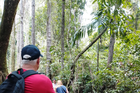 Polgampola Waterfall Tour by Tuk Tuks From Bentota area
