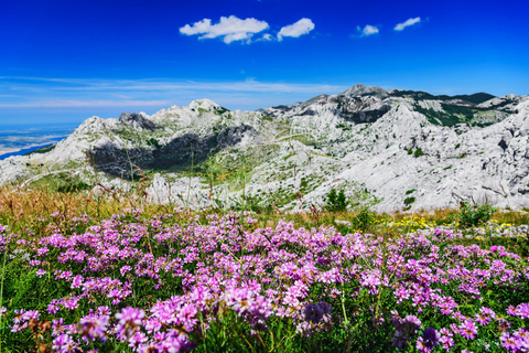 Zadar: Scenic trip to mountains, caves and rivers