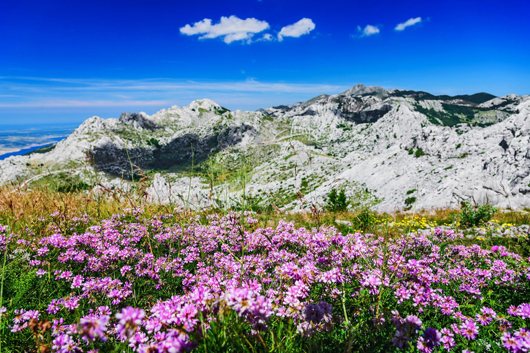 Zadar: Scenic trip to mountains, caves and rivers