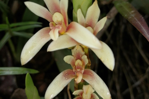 2 Days - Short Inca Trail to MachuPicchu