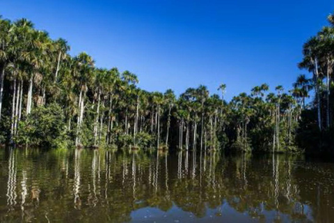 “Day Trip: Piranha Fishing in the Pacaya Samiria Reserve”