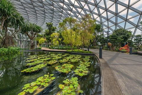 Singapore: Jewel Changi Airport Ticket Mastercard ® Canopy Bridge + Complimentary Canopy Park