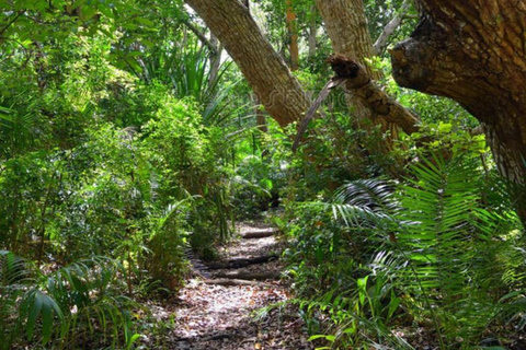 ZANZIBAR: tour della fattoria delle spezie, foresta di Jozani e ristorante RockTour privato, nessun trasferimento incluso