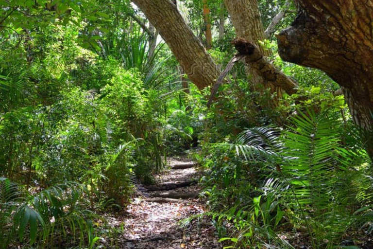 ZANZIBAR: tour della fattoria delle spezie, foresta di Jozani e ristorante RockTour privato, nessun trasferimento incluso