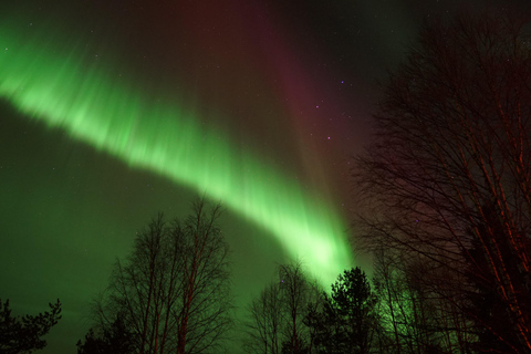 Rovaniemi Northern Lights – The Real Guaranteed Hunt