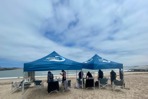 Swakopmund: Beach Painting Session with Artist Guide