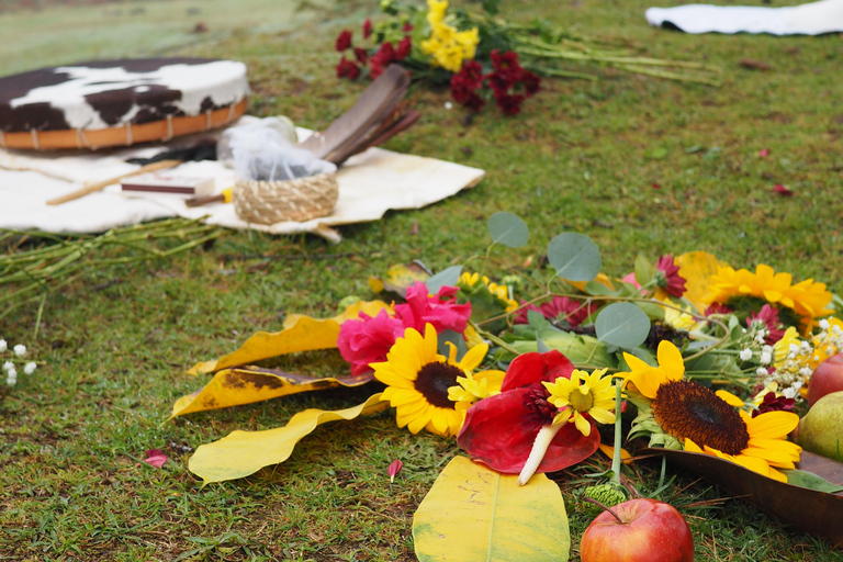 Madeira: Fanal Forest Tree Connection Ceremony &amp; Picnic