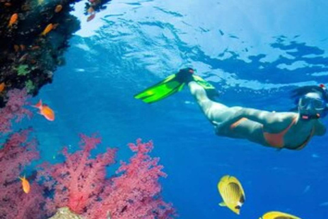 Private: Sosua Bay Snorkeling Tour with Hotel Pickup
