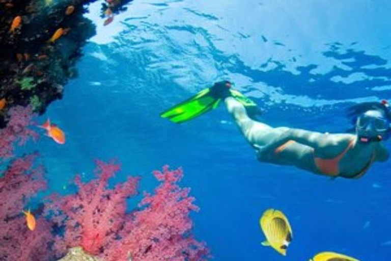 Private: Sosua Bay Snorkeling Tour with Hotel Pickup