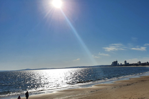 City Tour in Punta del Este: Unforgettable Adventure with Treasure Hunt!