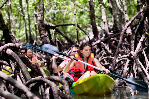 Langkawi: Mangroven-Kajakfahren bei Farly