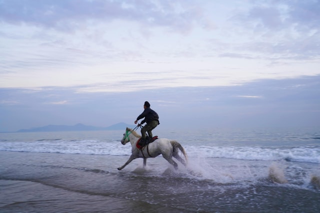 Abu Dhabi: Peaceful Beach Horseback Ride Experience