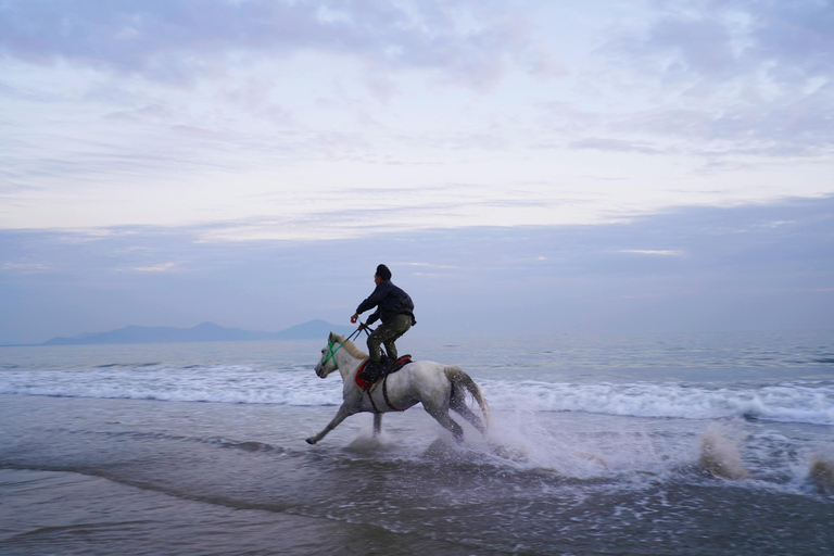 Abu Dhabi: Peaceful Beach Horseback Ride Experience