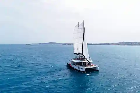 Nice : Ettermiddag til sjøs på en Maxi katamaran - Cap Ferrat