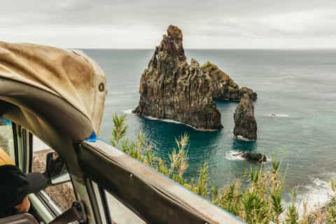 From Funchal: Enchanted Terraces and Porto do Moniz 4WD Tour