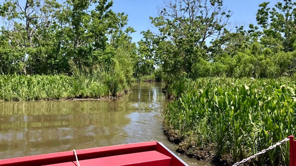 New Orleans 10personers Airboat Swamp Tour GetYourGuide