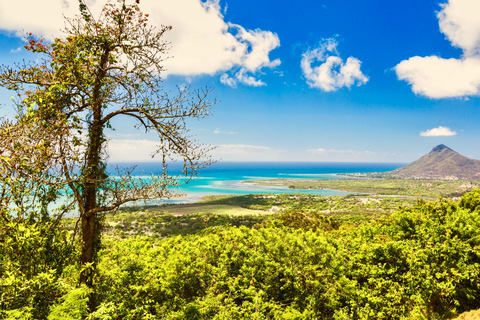 Winery to Rum Distillery - South West Tour with Lunch