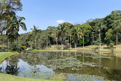 圣保罗：植物园与生物学家导览游（周末）生物学家带你游览圣保罗植物园