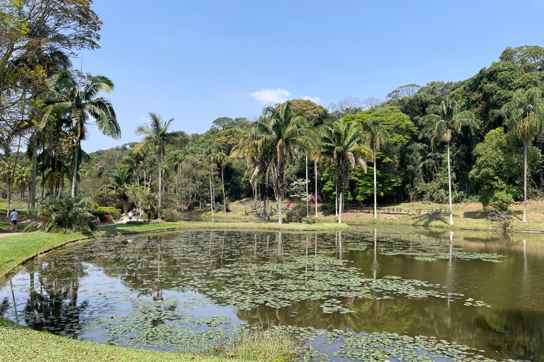 圣保罗：植物园与生物学家导览游（周末）生物学家带你游览圣保罗植物园