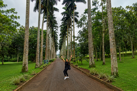 Waterfalls Massage with Aburi Gardens & Cocoa Farm Tour