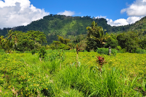 Sidemen rice terraces trek and local village walk sidemen rice terrace, village walk and local market