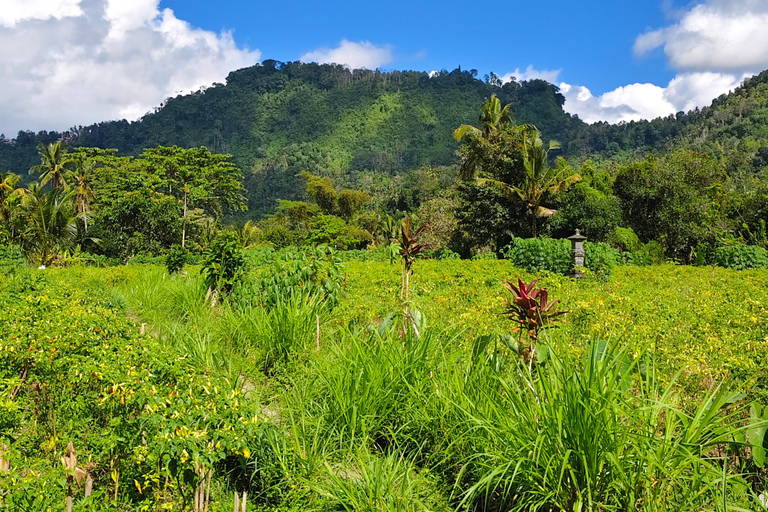 Sidemen rice terraces trek and local village walk sidemen rice terrace, village walk and local market