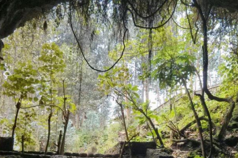 Ancient Kings, Buhanga Sacred Forest & Musanze Caves Tour