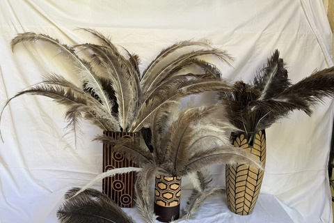 Nairobi: Maasai Ostrich Farm Tour with Lunch & Pickup