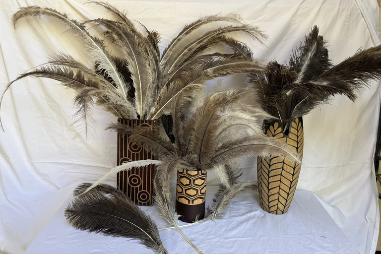 Nairobi: Maasai Ostrich Farm Tour with Lunch & Pickup