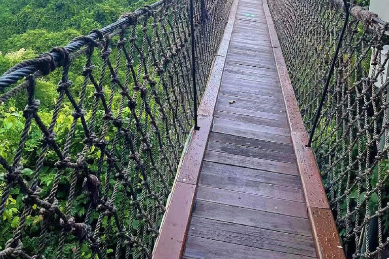 Sanya: Yalong Bay Rainforest Park Entry Ticket