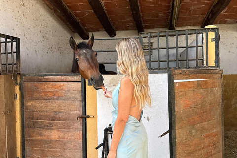 Norway-Gålå: Horseback Riding Tour with Refreshments