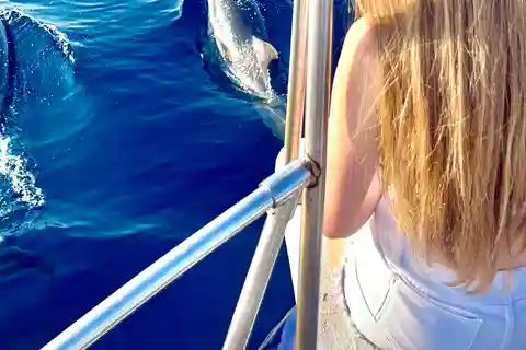 Taormina: tour dei delfini e aperitivo al tramonto in barca