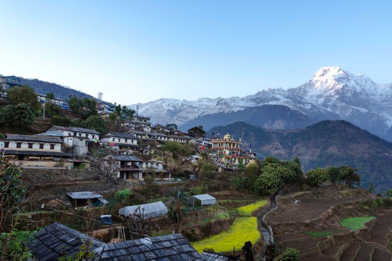 Pokhara: Dhaulagiri-Annapurna Community Trek 9-Day Tour