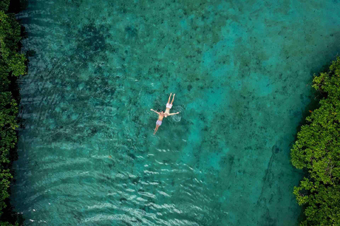 Panama City: Portobelo Jungle, Reef & Venas Azules Tour