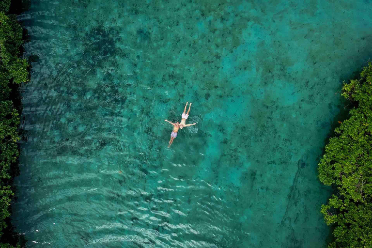 Panama City: Portobelo Jungle, Reef & Venas Azules Tour