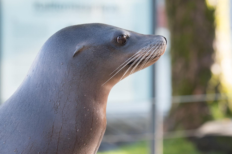 Bergen: Ticket de entrada al Acuario de Bergen