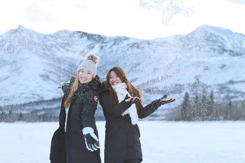 Denali Summer/ Qinter Trial Shuttle with Professional Camera