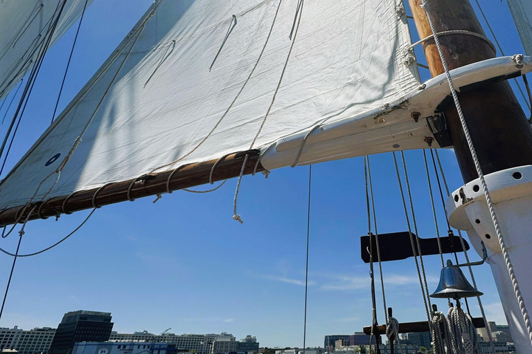 Boston: Sunday Pastries & Prosecco on Boston Harbor