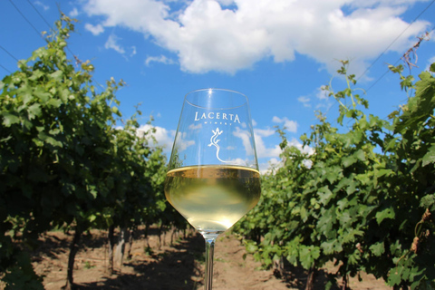 Bucharest: Discover the Magic of Romanian Wine