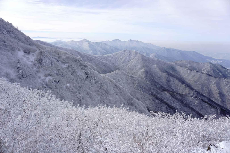 From Seoul: Suwon Hwaseong and Deogyusan Winter Tour Hongik Univ Station Exit 4