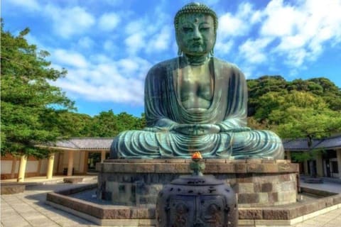 Kamakura: Great Buddha,Enoshima Private tour & English guide