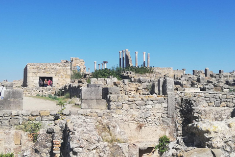 Transfer van Fes naar Tanger via Volubilis en Chefchaouen