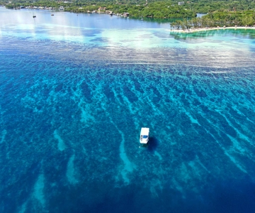 From Roatan: 3-Stop Snorkeling Adventure and Beach Break